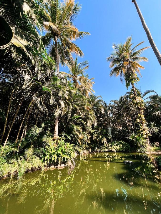 Jardin Secreto Centro Holistico Βίλα Ακαπούλκο Εξωτερικό φωτογραφία