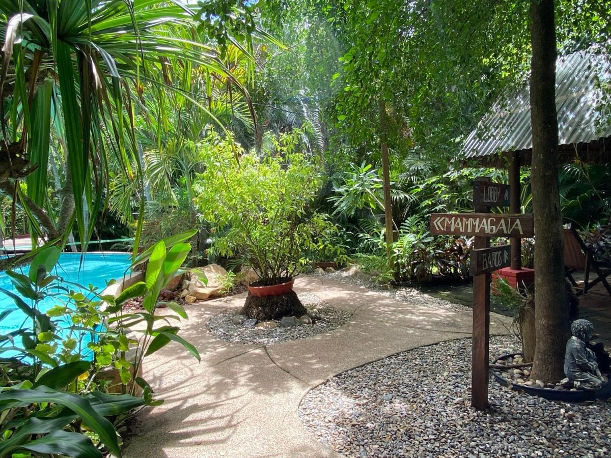 Jardin Secreto Centro Holistico Βίλα Ακαπούλκο Εξωτερικό φωτογραφία