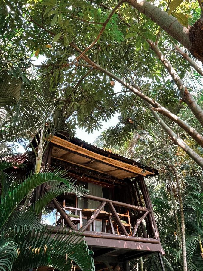 Jardin Secreto Centro Holistico Βίλα Ακαπούλκο Εξωτερικό φωτογραφία