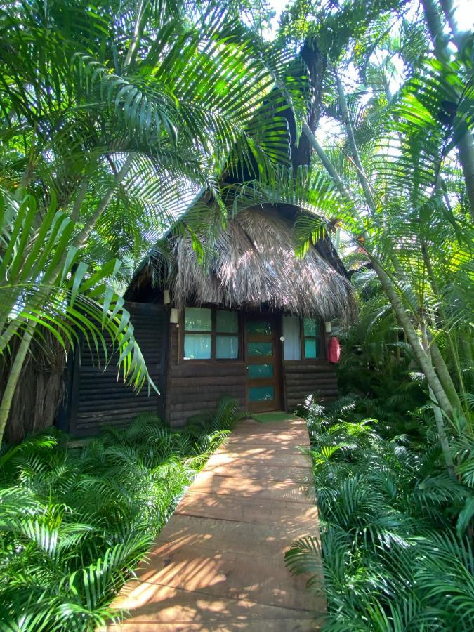 Jardin Secreto Centro Holistico Βίλα Ακαπούλκο Εξωτερικό φωτογραφία
